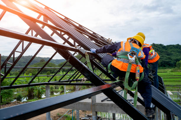 Best Roof Gutter Cleaning  in Chilhowie, VA